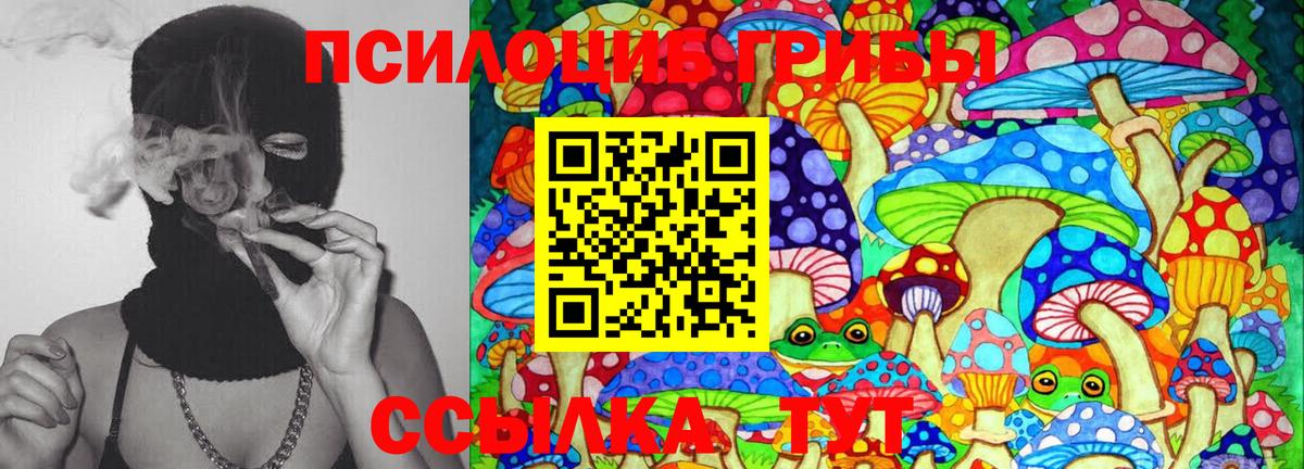 Псилоцибиновые грибы прущие грибы Ревда