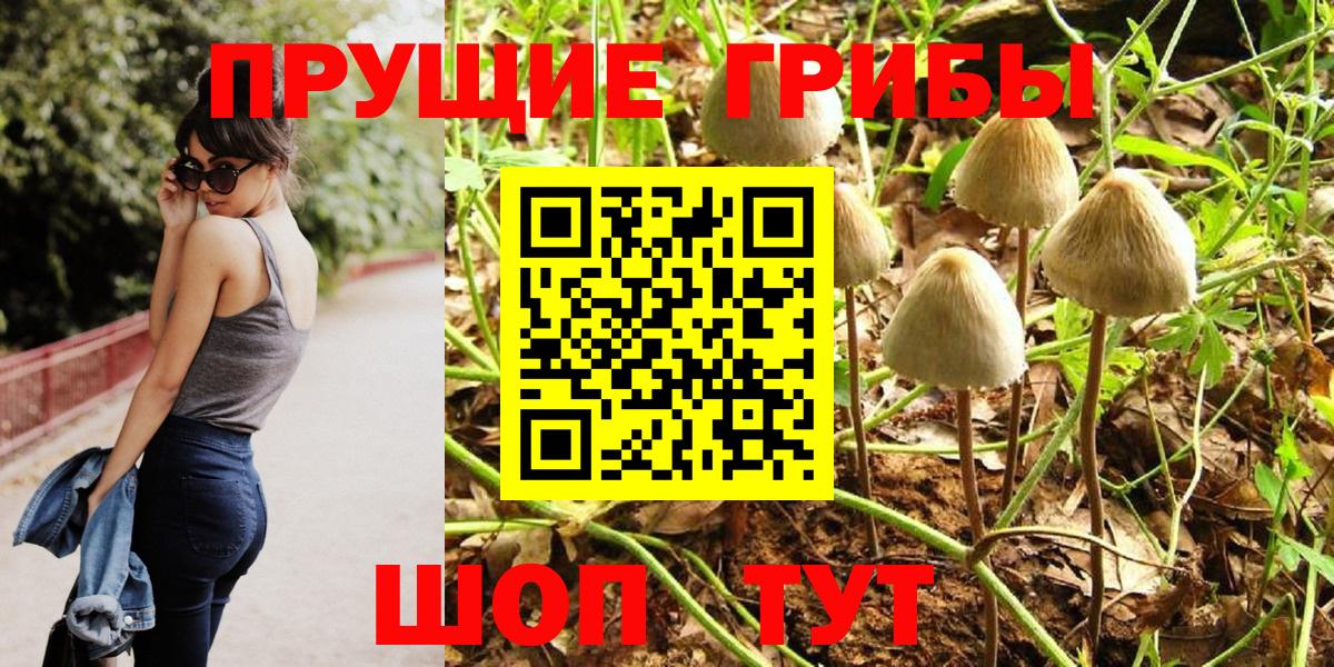 Ревда  где найти   Вход с VPN  Псилоцибиновые грибы мицелий 